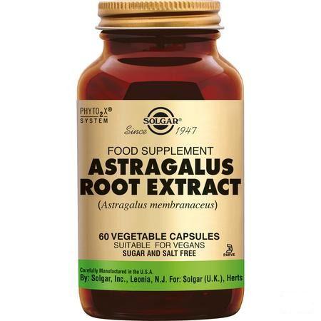 Solgar Astragalus Root Extract V-Capsule 60  -  Solgar Vitamins