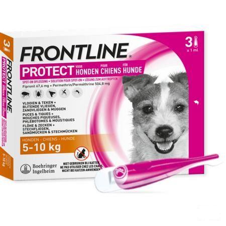 Frontline Protect Spot On Opl Hond 5-10Kg Pipet 3