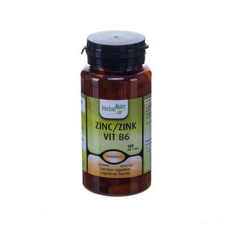 Herbalnutri Zink Vit B6 Gel 100  -  Herbalgem