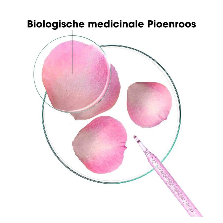 Klorane Capil. Sh Pioenroos Bio 400 ml