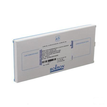Rhus Toxicodendron Cure 6k-MK  -  Boiron
