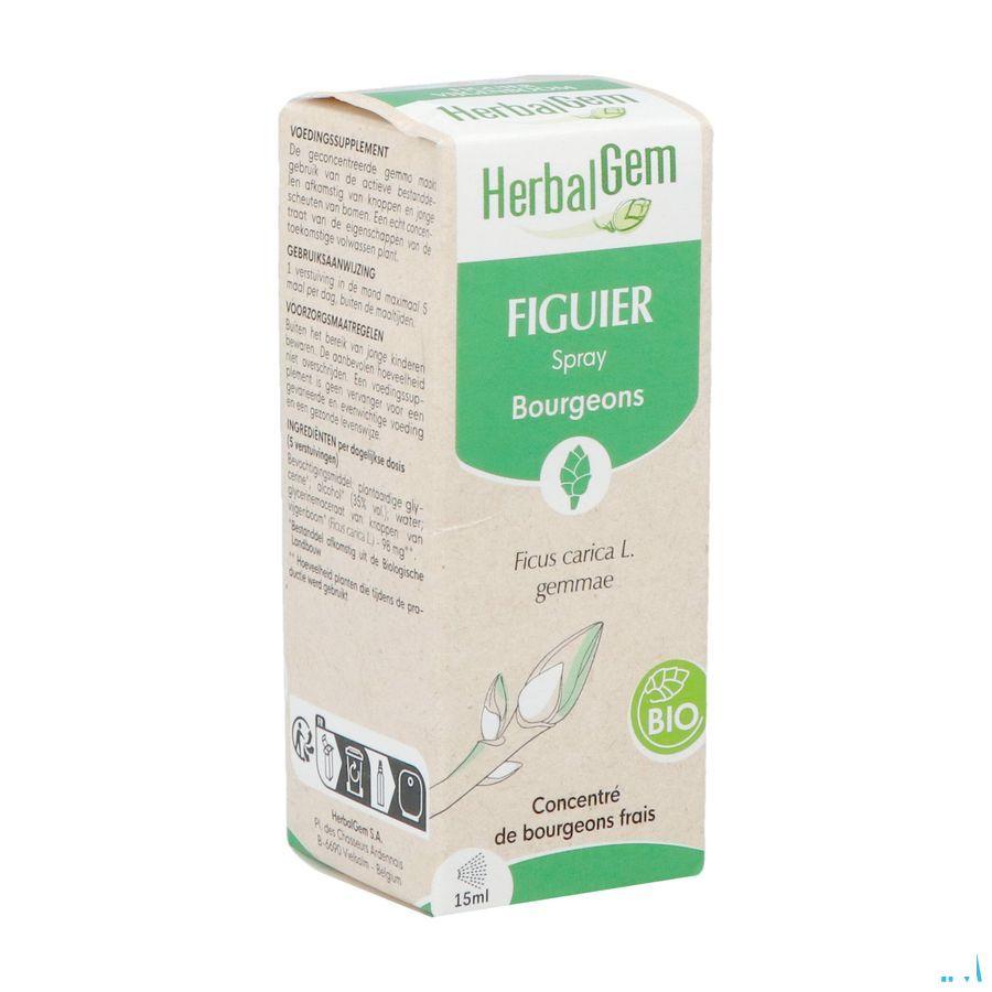 Herbalgem Figuier Bio Spray 15 ml