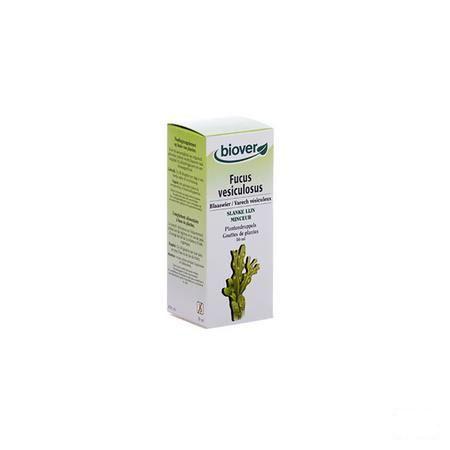 Blaaswier Teinture 50 ml   -  Ocebio