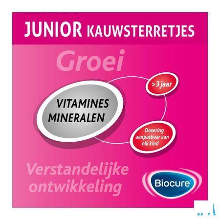 Biocure Junior Kauwsterretjes 60