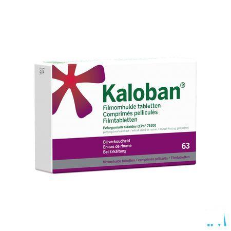 Kaloban Filomhulde Tabl 63 X 20  mg  -  Vsm