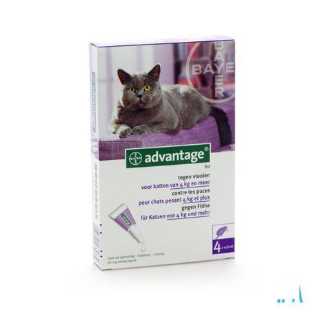Advantage 80 Katten >4kg 4x0,8ml