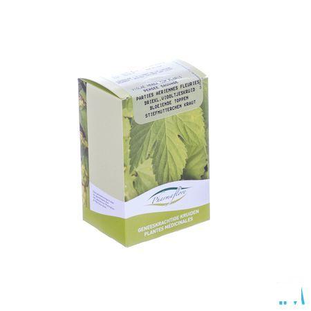 Viooltje Driekleurig Kruid Doos 100 gr  -  Fagron