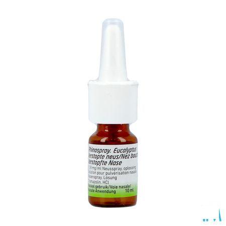 Rhinospray Eucalyptol Verstopte Neus 1,18mg/ml Neusspray 10 ml