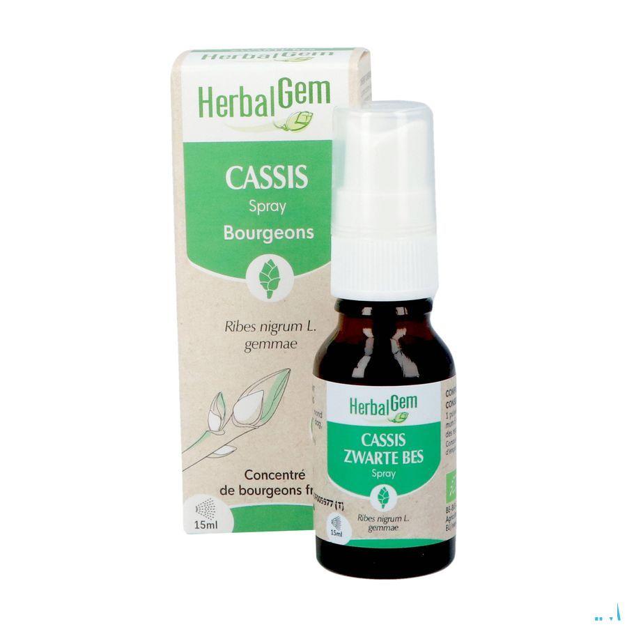 Herbalgem Zwarte Bes Bio Spray 15 ml