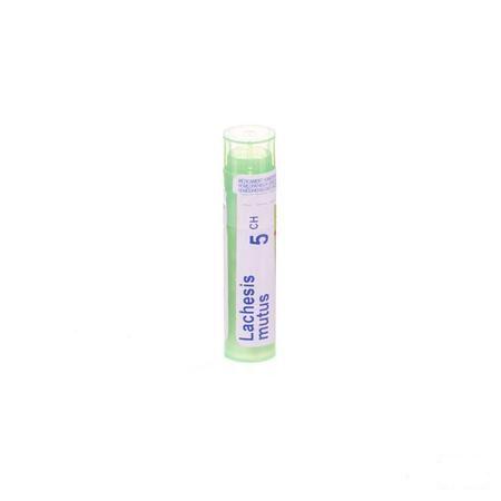 Lachesis Mutus 5CH Gr 4g  -  Boiron