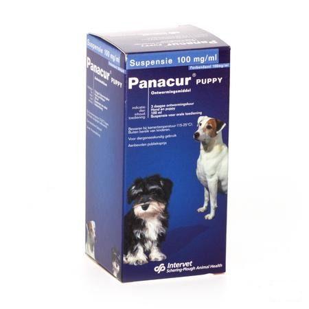 Panacur Puppy Suspension 1 X 100 ml 