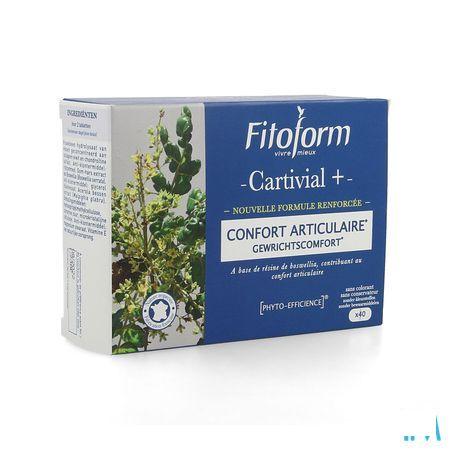 Cartivial+ Gewrichtscomfort Comp 40 Fitoform  -  Bioholistic Diffusion