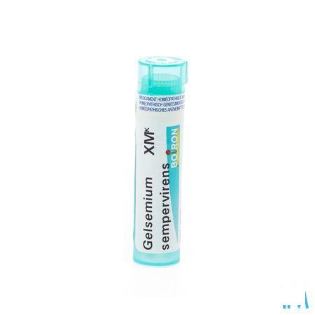 Gelsemium Sempervirens XMK Gr 4g  -  Boiron