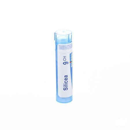 Silicea 9CH Gr 4g  -  Boiron
