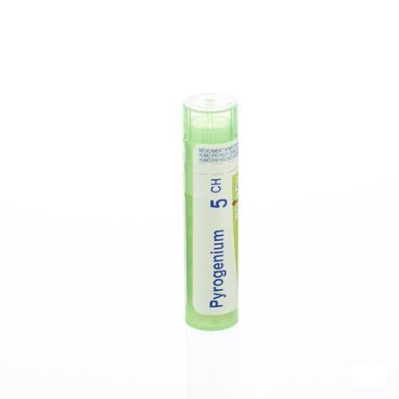 Pyrogenium 5CH Gr 4g  -  Boiron