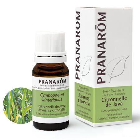 Citronnelle Van Java Essentiele Olie 10 ml  -  Pranarom