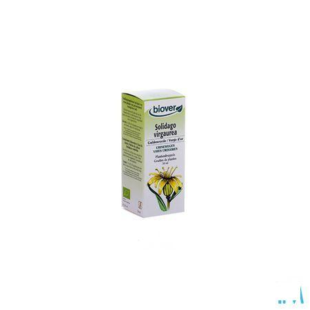 Guldenroede Teinture Bio 50 ml   -  Ocebio