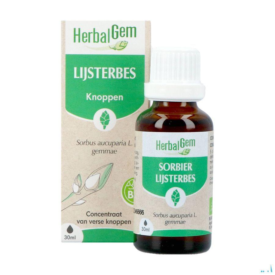 Herbalgem Lijsterbes Bio 30 ml