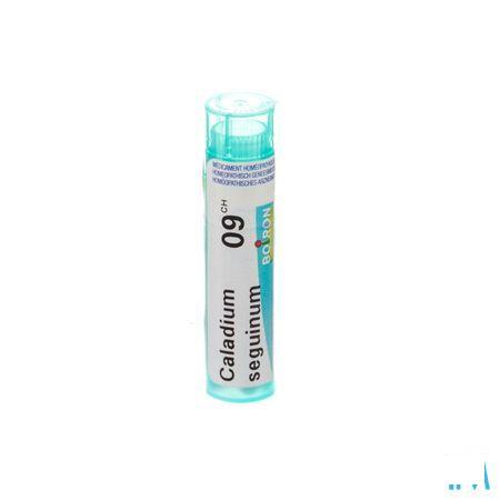 Caladium Seguinum 9CH Gr 4g  -  Boiron