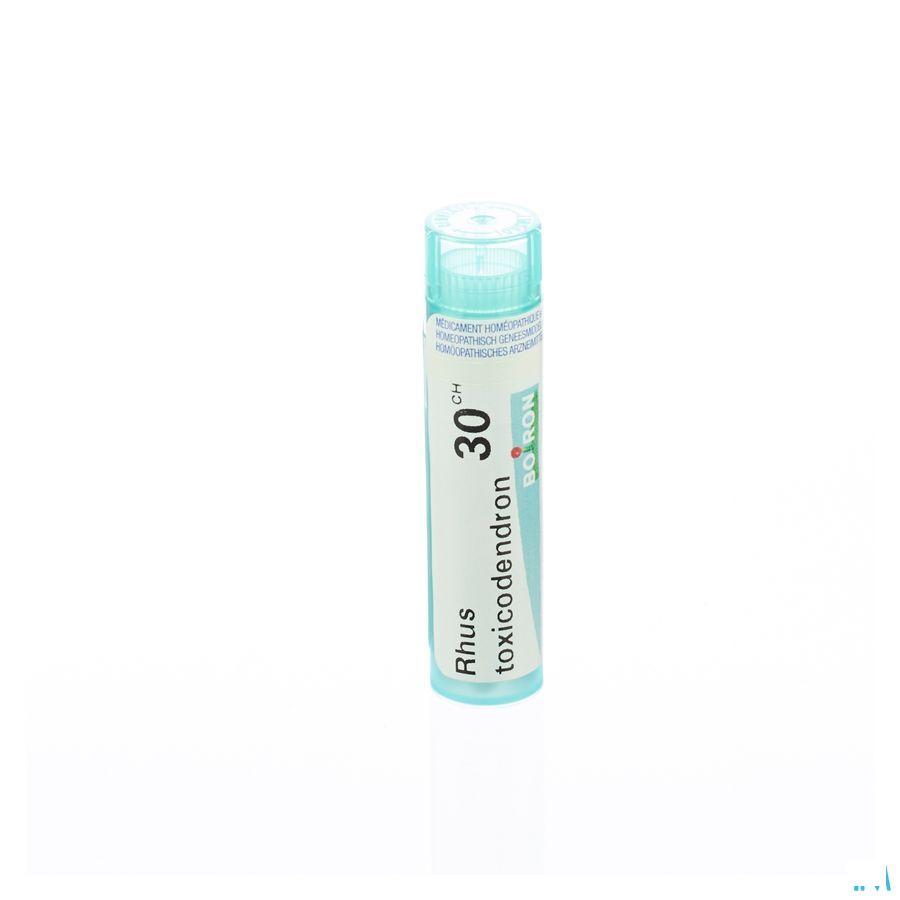 Rhus Toxicodendron 30CH Gr 4g  -  Boiron