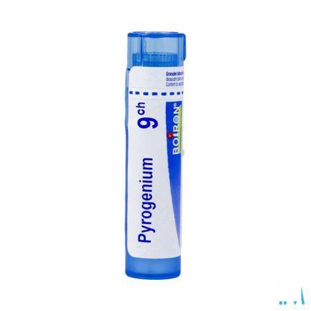 Pyrogenium 9CH Gr 4g  -  Boiron