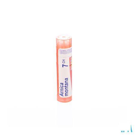 Arnica Montana 7CH Gr 4g  -  Boiron