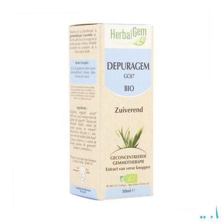 Herbalgem Depuragem Complex 50 ml  -  Herbalgem