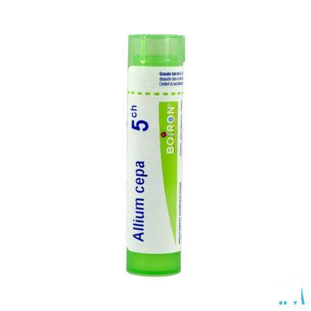 Allium Cepa 5CH Gr 4g  -  Boiron