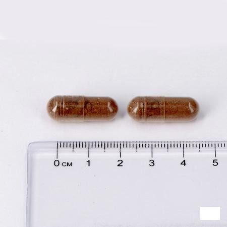 Lepivits Regluvits Caps 60