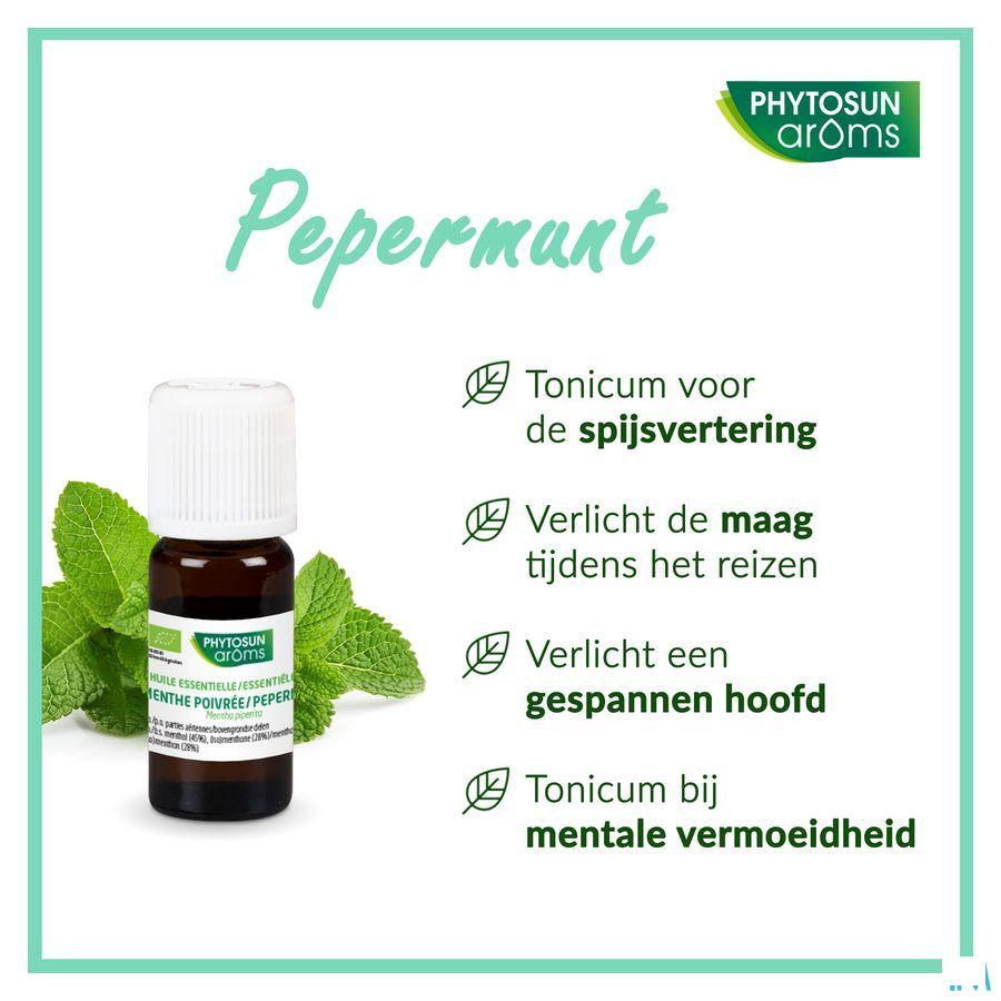 Phytosun Pepermunt Fr-bio-01 10 ml