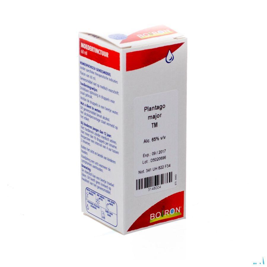 Plantago Major Tm 60 ml  -  Boiron