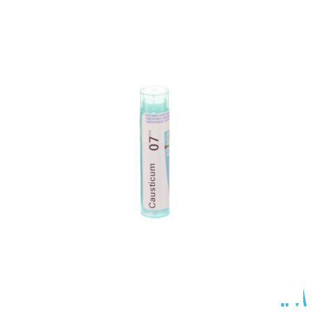 Causticum Hahnemanni 7CH Gr 4g  -  Boiron