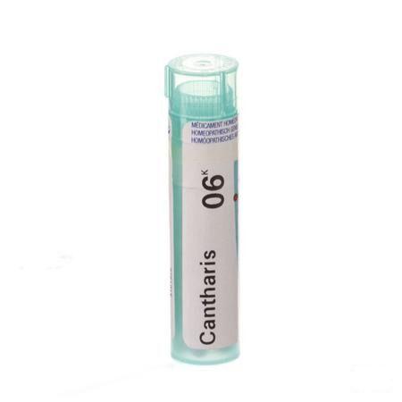 Cantharis 6k Gr 4g  -  Boiron