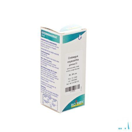 Crataegus Oxyacantha Gemmo D1 60 ml  -  Boiron
