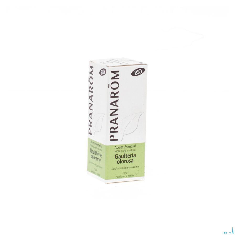 Gaultherie Odorante Bio Essentiele Olie 10 ml  -  Pranarom
