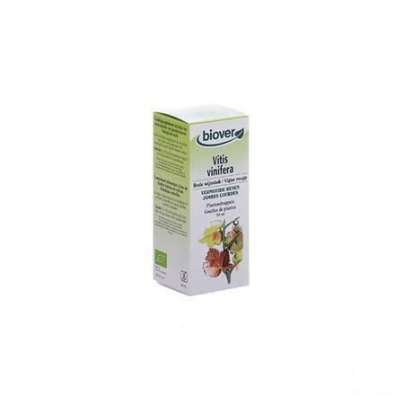 Rode Wijnstok Teinture Bio 50 ml   -  Ocebio