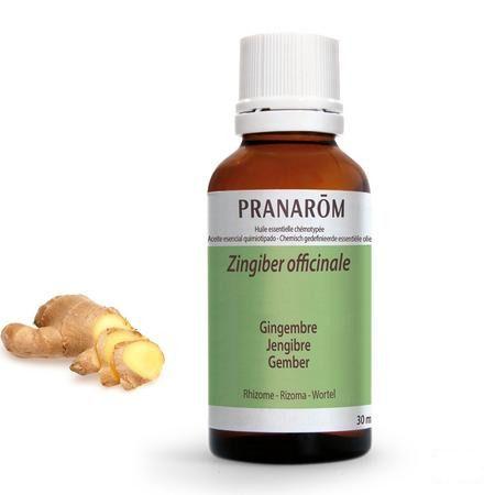 Gember Essentiele Olie 30 ml  -  Pranarom