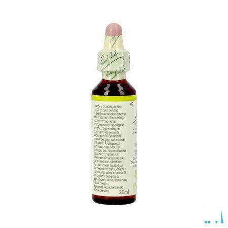 Bach Flower Remedie 09 Clematis 20 ml