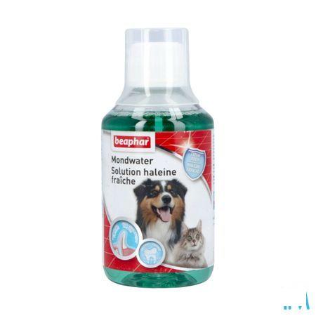 Beaphar Mondwater 250 ml