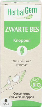 Herbalgem Zwarte Bes Maceraat 30 ml  -  Herbalgem