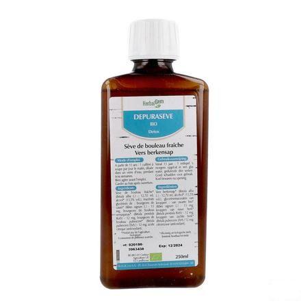 Herbalgem Depuraseve Bio Detox 250 ml  -  Herbalgem