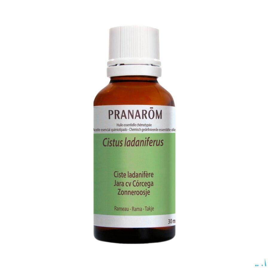 Ciste Ladanifere Essentiele Olie 30 ml  -  Pranarom
