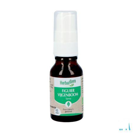 Herbalgem Figuier Bio Spray 15 ml
