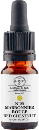 Bach Elexir Rode Kastanje 10 ml F833