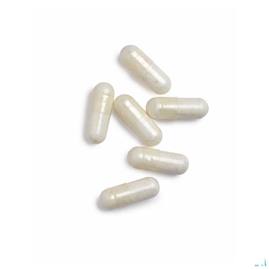 Biotics Mg-Zyme 100 capsules  -  Energetica Natura