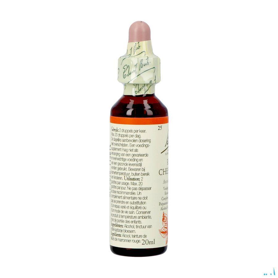 Bach Flower Remedie 25 Red Chestnut 20 ml