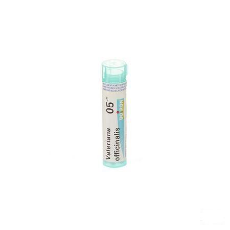 Valeriana Officinalis 5CH Gr 4g  -  Boiron