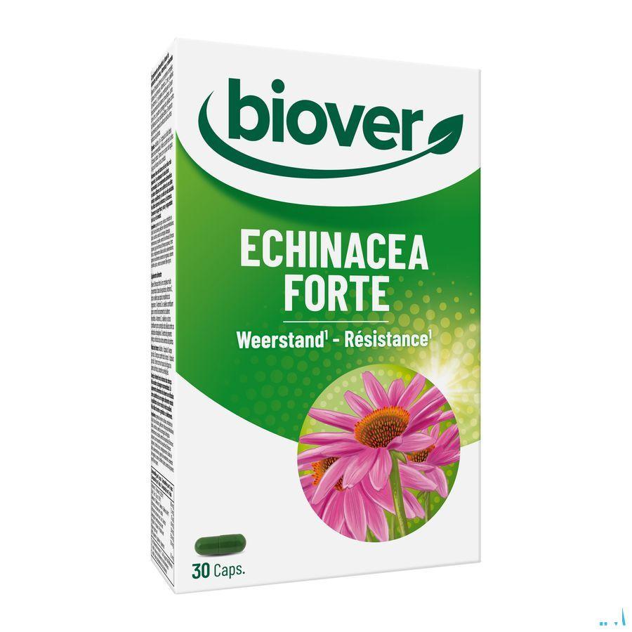 Biover Echinacea Forte Caps 30