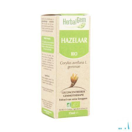 Herbalgem Hazelaar Maceraat 15 ml  -  Herbalgem