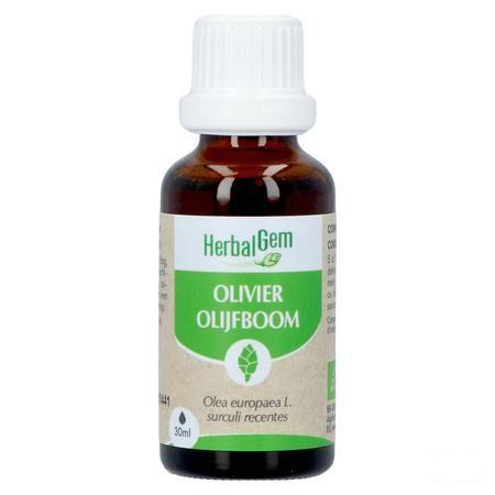 Herbalgem Olijfboom Bio 30 ml